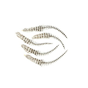 OYr[ij10|20cm /1{ytFU[ ANZT[ p[c H | グ ANZTz