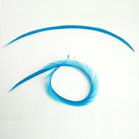 羽 ビヨット ブルー 5本　装飾用の羽根 【アクセサリー パーツ 羽 手芸 アクセサリ しゅげい】【メール便】羽 髪飾り 羽 手芸 羽 ビーズ 羽 帽子飾り