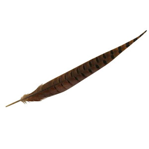 H LW 25-30cm ypzyH 2{zyANZT[ tFU[ p[c H | H ANZT グzH fBXvC H ANZT[ H CO H u[` H Xq 