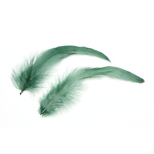 H L AbVO[10{ ytFU[ ΂̉H ANZT[ p[c H | グ ANZTzy[ցzH  H | H r[Y H Xq@h[Lb`[