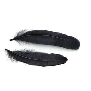 O[X  10{ yH tFU[ ANZT[ p[c H | グ ANZT [ցz