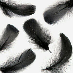 H RL[  ubN  r[Y Vg̉H fBXvC GWFV[ ANZT[ wbhhX