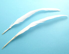 楽天市場 羽飾りの通販