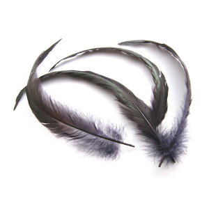H   i20-25cm) H 2{ypzyH ANZT[ p[c H | tFU[ H ANZT グzy[zyzH  H | H r[Y H Xq