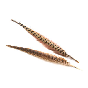 LW i20-25cmj H 2{ ypzytFU[ p[c ANZT[ H | H ANZT | zH  H | H r[Y H Xq