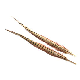 羽 キジ尾 （40-45cm）　装飾用 羽根2本 【フェザー パーツ アクセサリー 羽 手芸 アクセサリ しゅげい 羽根飾り】羽 髪飾り 羽 手芸 羽 ビーズ 羽 帽子飾り　ドリームキャッチャー