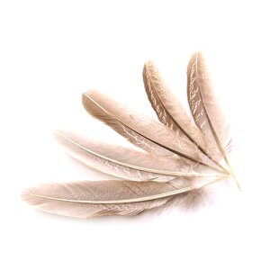 H LW@z@p̉H tFU[ 5{yANZT[ p[c H | ANZT グzy[ցzH  H | H r[Y H Xq