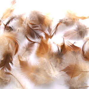 H gw 6cm-10cm 20yp̉H h[Lb`[ Hߑ@_X@CfBAANZT[@EFfBO t[AWg  p[c `[@nh