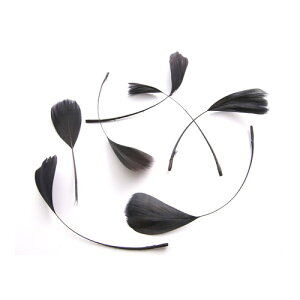 tFU[Xgbv ij5{ y[ցzyp̉HzyH | tFU[ ANZT[ p[c ANZT グz