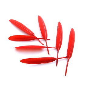 PH  p̉H 5{@y[ցzH  H | H r[Y H Xq