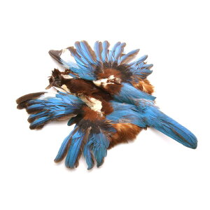 AIVEr iHj p̉H yANZT[ p[c H tFU[ | ANZT グz