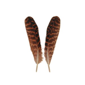 `EQ{E H tFU[ 1{ypzyANZT[ p[c H | H ANZT グ n zy[ցz