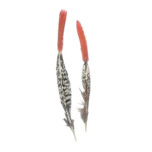 MPCIW @8-12cm yp̉HzytFU[z2{set yANZT[ p[c H | ANZT グ Hzy[ցzߑ _Xߑ hXߑ