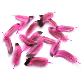 楽天市場 ピンク 羽の通販