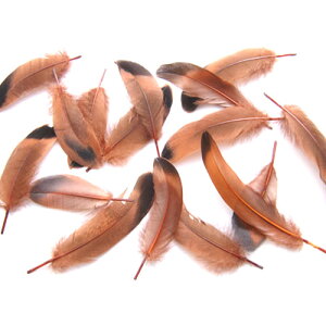 ڋ ij15{@4|6cm@p̉H ytFU[ F̉H ANZT[ p[c H | ANZT グzy[ցz