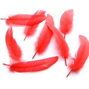 H@ H iԁj10{@p̉H@H u[` H H RT[W H COi[։\j