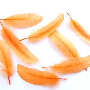 H@ H iIWj 10{@p̉H@H u[` H H RT[W H COi[։\j