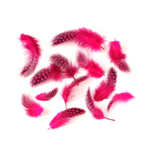 zz C p̉H ytFU[ ANZT[ p[c H | ANZT グ Hz10{y[ցz