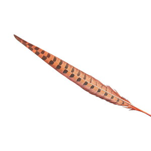 H LW@Ԑi25-30cmjypzyHzH fBXvC H ANZT[ H CO H u[` H Xq Hh[Lb`[