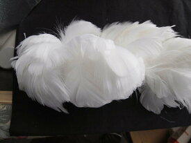コキール糸通し（白） この羽根はディスプレイ、アクセサリー、ヘットドレス等に使用されてます。