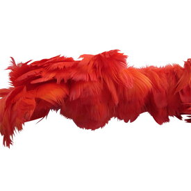 コキール糸通し（赤） この羽根はディスプレイ、アクセサリー、ヘットドレス等に使用されてます。