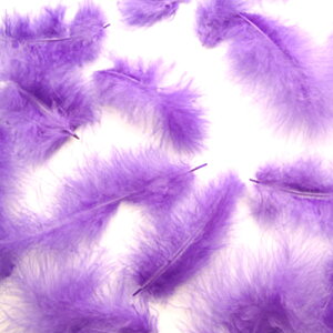 H tbg TL H  H  H@r[Y@ Vg̉H@H@fBXvC H GWFV[ H@ANZT[@H wbghX@H@RT[W