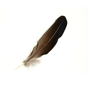 MPCH  i`(FȂ) 3{ 14-18cm Zyp̉HzyANZT[ tFU[ p[c H | ANZT グzy[ցz