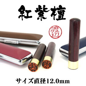 F@Ӂ@F߈ yIׂӃP[Xtz @[ց@i@F@ghiׂɂj@TCYa12.0mm