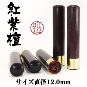 F@Ӂ@F߈@@[ց@i@F@ghiׂɂj@TCYa12.0mm