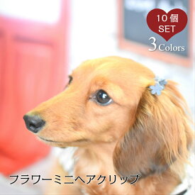 楽天市場 ヘアピン アクセサリー 小物 ドッグウェア 犬用品 ペット ペットグッズの通販