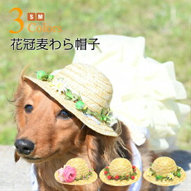 楽天市場 麦わら帽子 ペット ペットグッズ の通販 楽天市場 麦わら帽子 ペット ペットグッズ の通販