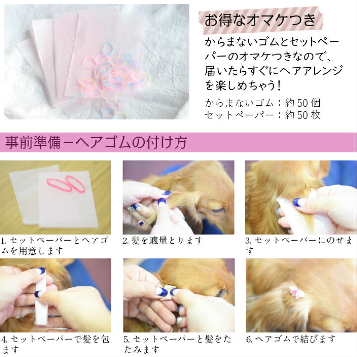 全品送料無料 犬 ヘアアクセサリー リボン ヘアピン 8点セット B キュート 髪飾り グレー Www Larrypolatsch Com