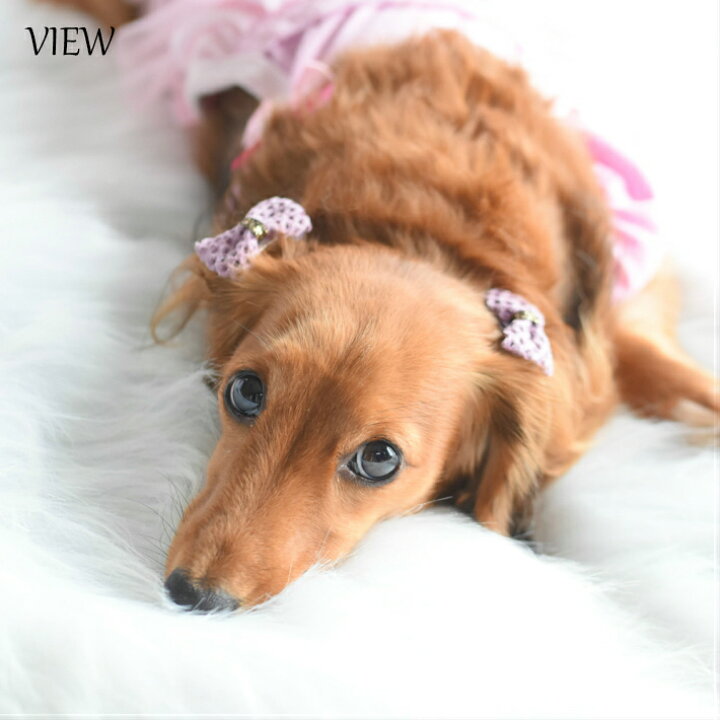 楽天市場 犬 ヘアアクセサリー リボン ヘアピン 8点セット G エレガント 髪飾り Hapi Co