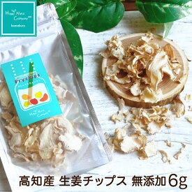 ハッピーナッツカンパニー 高知産 生姜チップス 6g ご褒美 プチギフト 乾燥野菜 ドライフルーツ 砂糖不使用 無添加 ナッツ専門店