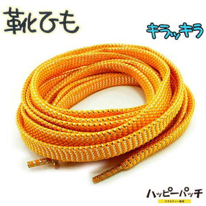 CЂ CR V[[X LLR F ETSR-209 Ђ SHOELACES  [OK