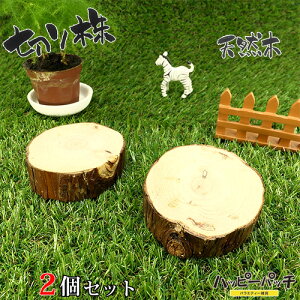 ݌ɏ VR؂̑ fBXvCX^h 2Zbg XM̖ ؂芔 8cm ؐ ̖ t { MD-060 [OK