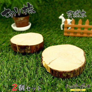 ݌ɏ VR؂̑ fBXvCX^h 2Zbg XM̖ ؂芔 8cm ؐ ̖ t { MD-061 [OK