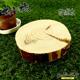 天然木の台座 ディスプレイスタンド スギの木 切り株 約11cm 木製 杉の木 皮なし 日本製 MD-069 メール便OK
