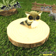 天然木の台座 ディスプレイスタンド スギの木 切り株 1個 約10-12cm 厚み1.5cm 小物置き 大サイズ 木製 …