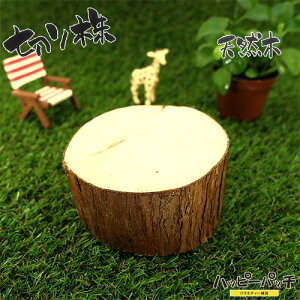 ݌ɏ VR؂̑ fBXvCX^h XM̖ ؂芔 9cm  ؐ ̖ t { MD-505 zւ̂