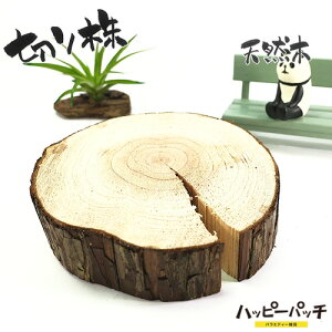 ݌ɏ VR؂̑ fBXvCX^h XM̖ ؂芔 12cm  ؐ ̖ t { MD-507 zւ̂