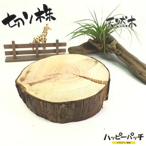 ݌ɏ VR؂̑ fBXvCX^h XM̖ ؂芔 12cm  ؐ ̖ t { MD-508 zւ̂