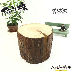 ݌ɏ VR؂̑ fBXvCX^h XM̖ ؂芔 11cm  ؐ ̖ t { MD-807 zւ̂