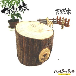 ݌ɏ VR؂̑ fBXvCX^h XM̖ ؂芔 12cm  ؐ ̖ t { MD-809 zւ̂