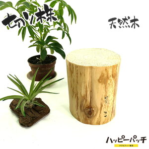 ݌ɏ VR؂̑ fBXvCX^h XM̖ ؂芔 8cm  ؐ ̖ Ȃ { MD-810 zւ̂