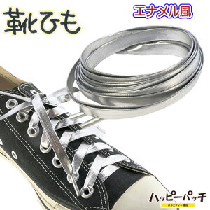 CЂ CR R n Gi F Vo[ 9mm  120cm tFCNU[ V[[X  SRA-252 [OK