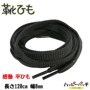 CЂ  CR R n  8mm  120cm ubN V[[X  SRA-301 [OK