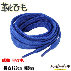 CЂ  CR R n  8mm  120cm u[ V[[X  SRA-305 [OK