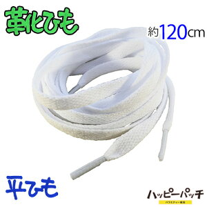 CЂ CR R n  8mm  120cm zCg V[[X SRA-701 [OK