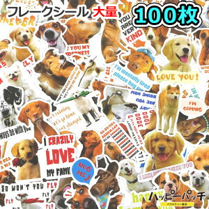  t[NV[  100Zbg  Ă񂱐 XebJ[ Ck   ̎q SS-134 [